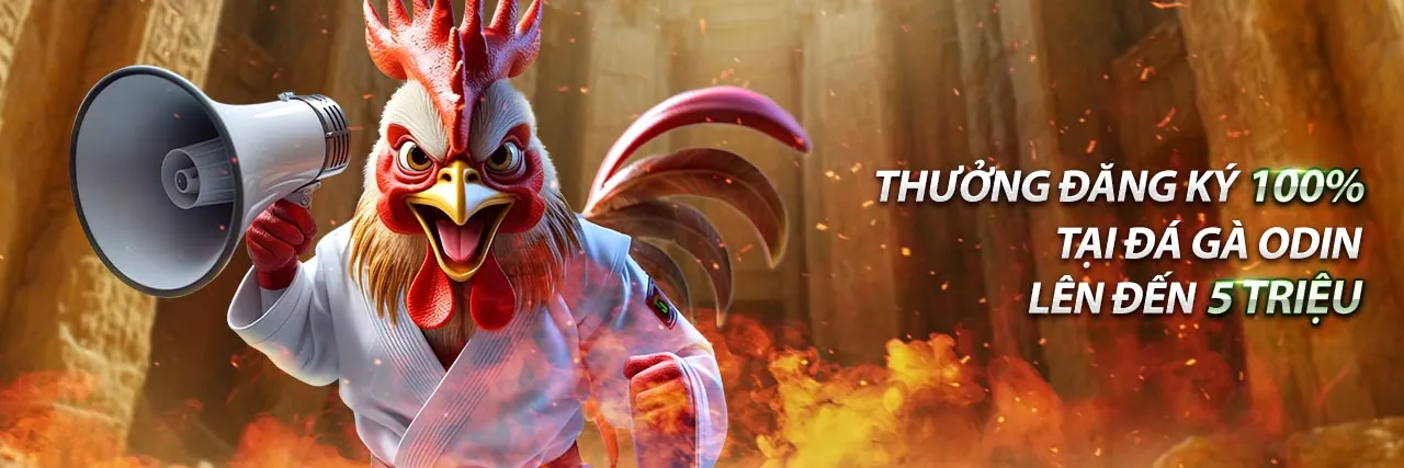 Đá gà Thomo C3 kịch tính
